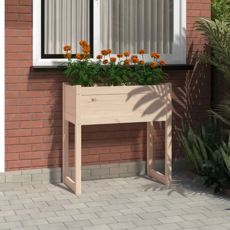 Bloempot of plantenbak van massief grenenhout voor tuin en balkon - Bloempotten & plantenbakken