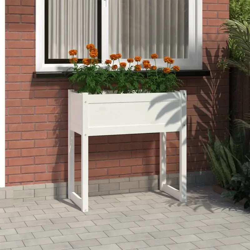 Bloempot of plantenbak van massief grenenhout voor tuin en balkon - Wit / 1 - Bloempotten & plantenbakken