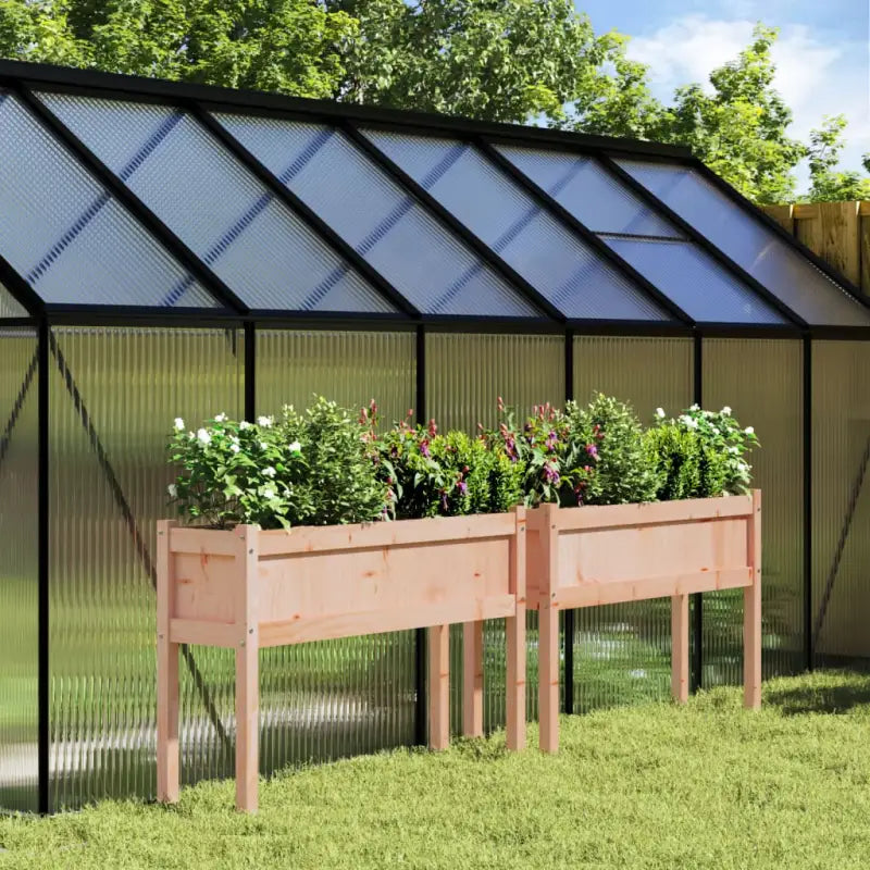 Houten bloempotten en plantenbakken van massief douglashout - Natuurlijk douglashout / 2 - Bloempotten & plantenbakken