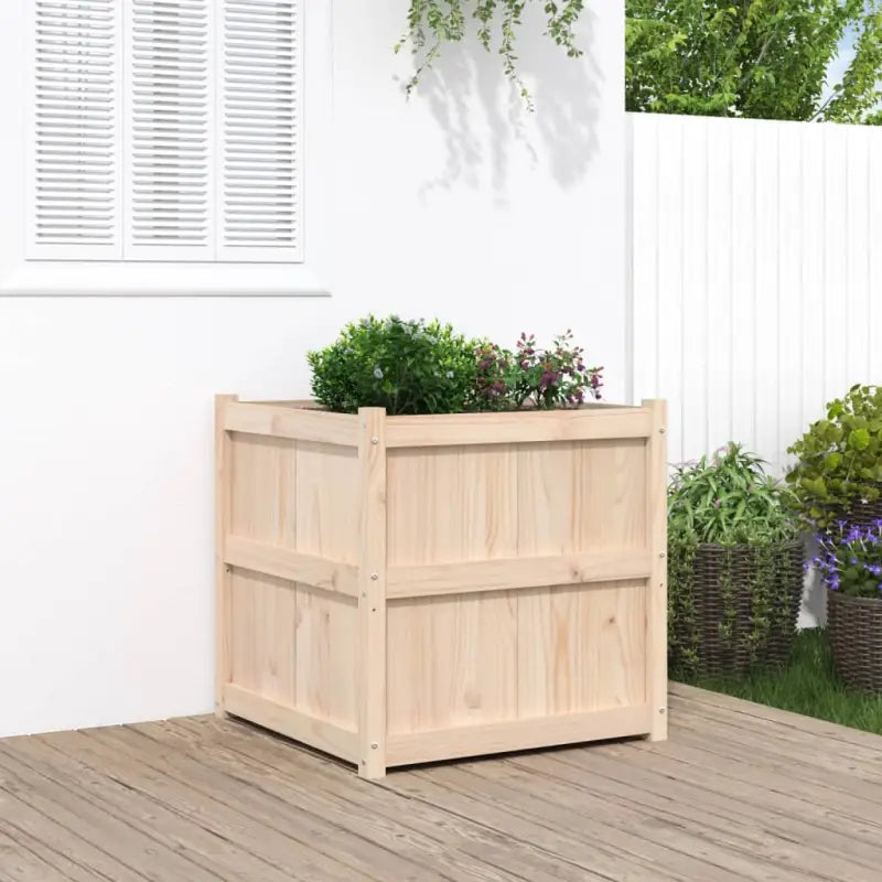 Houten plantenbak van massief grenenhout voor tuin en balkon - Bloempotten & plantenbakken