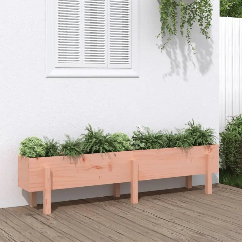 Houten plantenbak van massief grenenhout voor tuin en balkon - Natuurlijk douglashout / 160 x 30 x 38 cm / 1