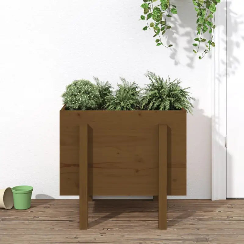 Houten plantenbak van massief grenenhout voor tuin en balkon - Honingbruin grenenhout / 62 x 50 x 57 cm / 1