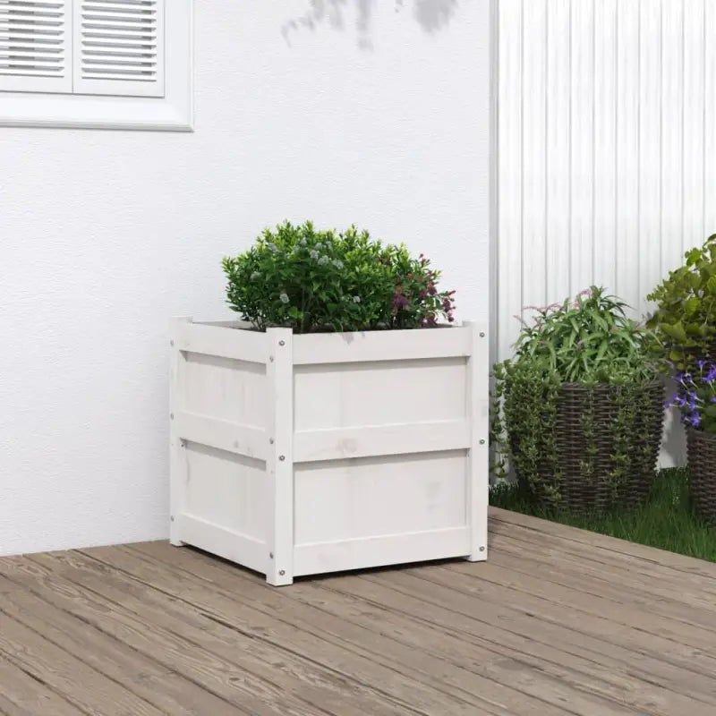 Houten plantenbakken van massief grenenhout voor tuin en balkon decoratie - Wit grenenhout / 1 - Bloempotten &