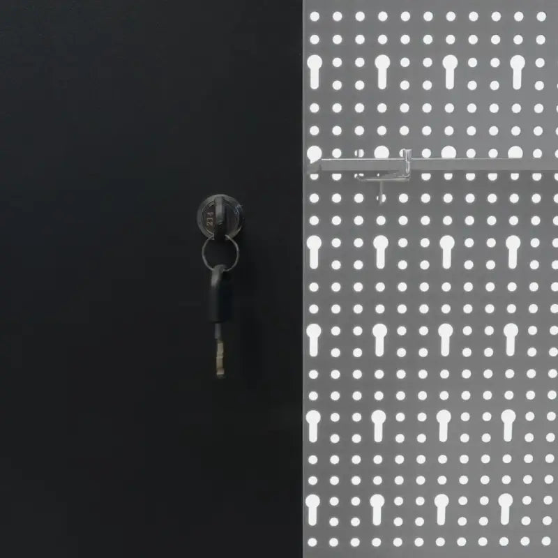 Industriële wandkast met verstelbare schappen en afsluitbare deuren - Grijs en zwart / 1 - Gereedschapskasten