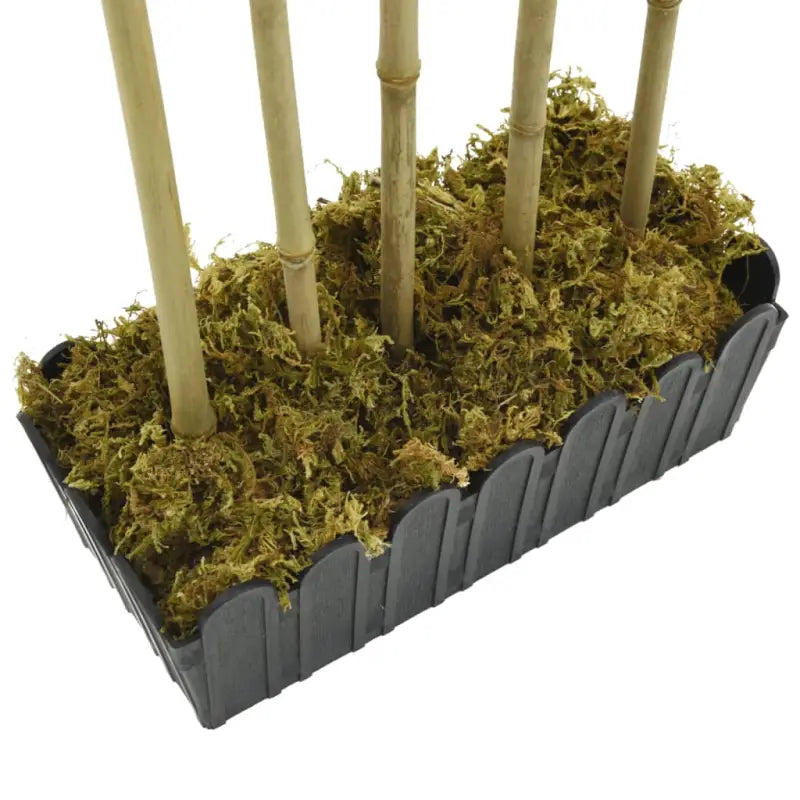 Kunstbamboe plant met kunststof pot voor huis en kantoor decoratie - Kunstplanten
