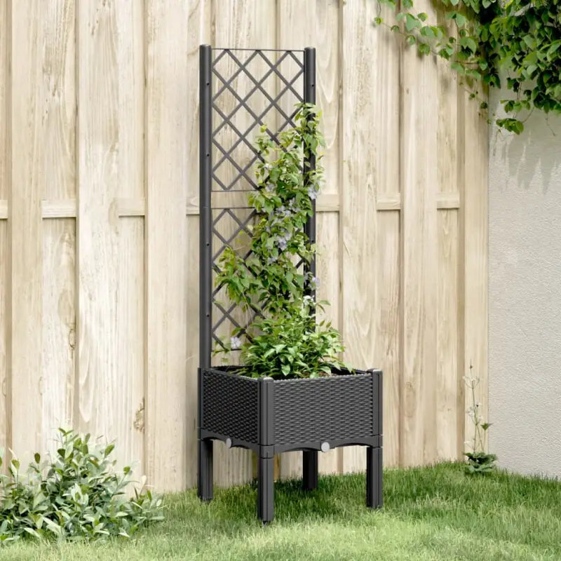 Plantenbak met latwerk voor klimplanten in tuin of op terras - Zwart / 40 x 40 x 142 cm / 1 - Bloempotten &