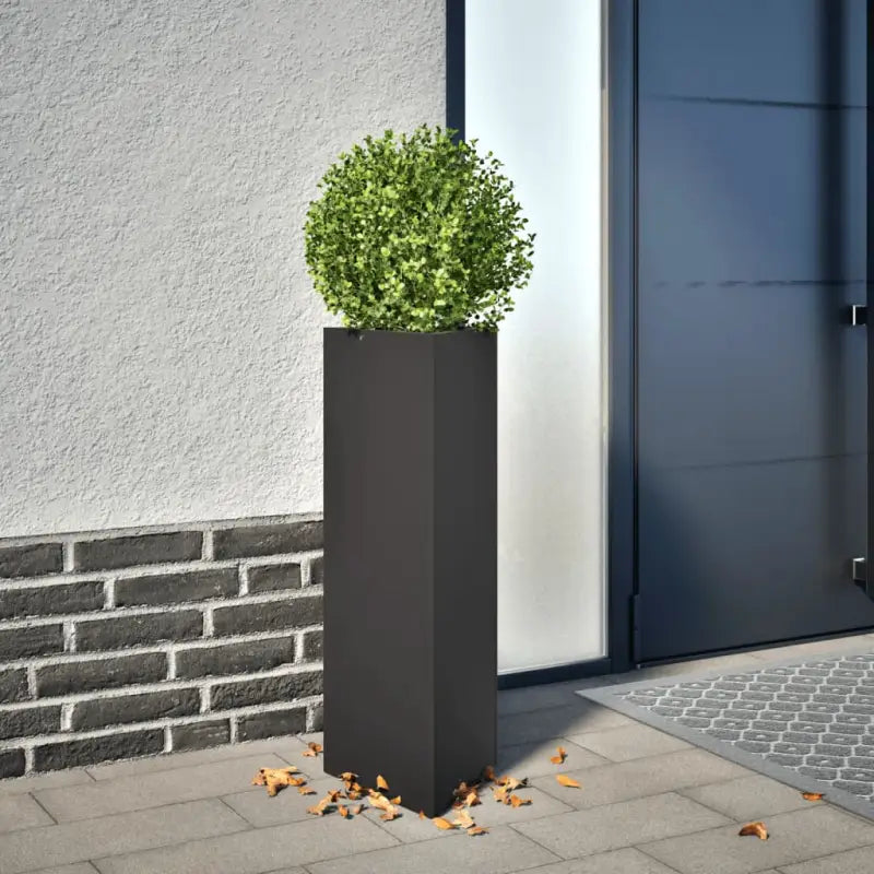 Plantenbak voor je favoriete planten en bloemen voor tuin of balkon - Staal/Zwart / 30 x 26 x 75 cm / 2 - Bloempotten &