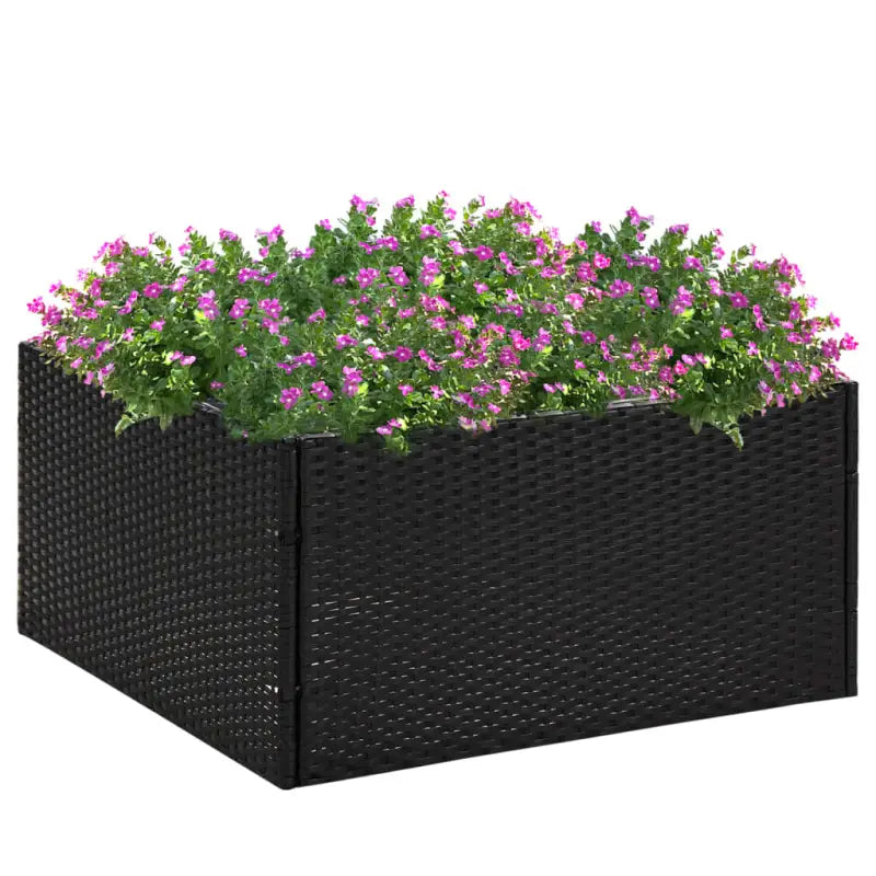 Transparante nylon zak voor plantenbakken en bloempotten ideaal voor bloemen - Zwart / 80 x 80 x 40 cm / 1