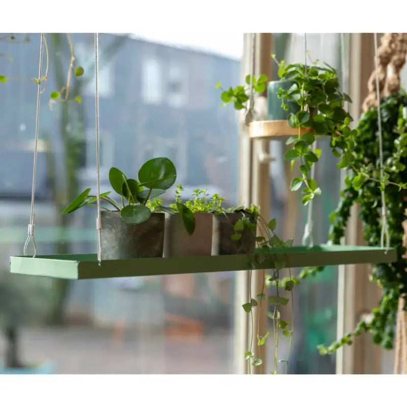 Artificial Plants