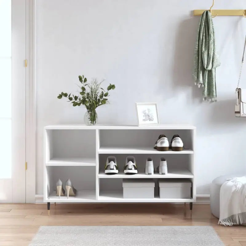 Shoe cabinet