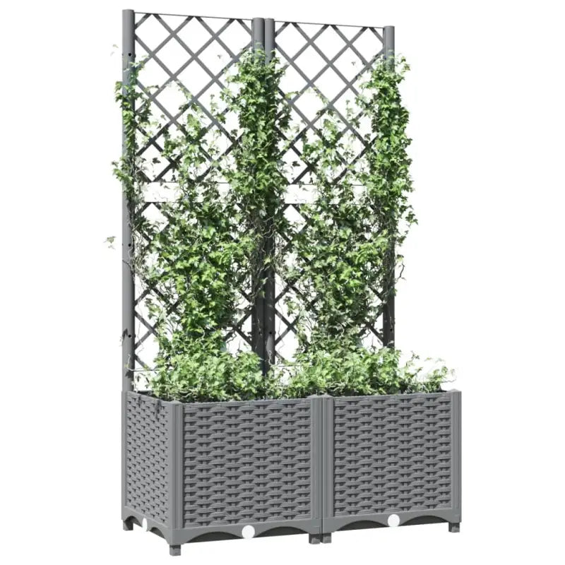 Bloempot met latwerk voor klimplanten in tuin of terras - Bloempotten & plantenbakken