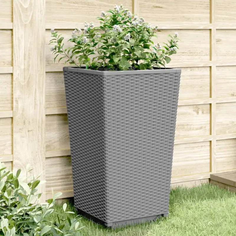 Bloempotten en plantenbakken voor klimplanten in tuin en terras - Bloempotten & plantenbakken