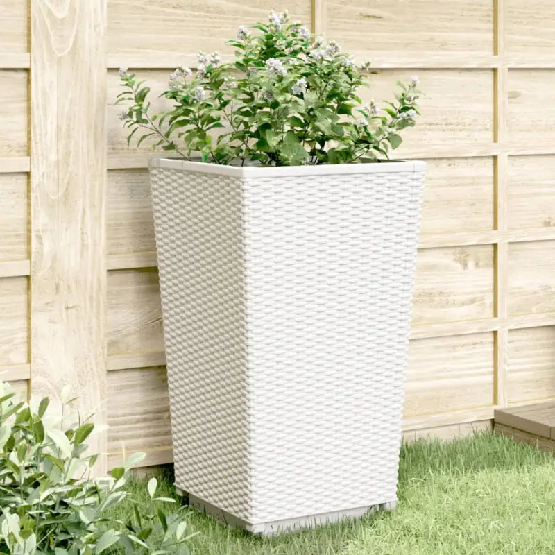 Bloempotten en plantenbakken voor klimplanten in tuin en terras - Wit / 4 - Bloempotten & plantenbakken