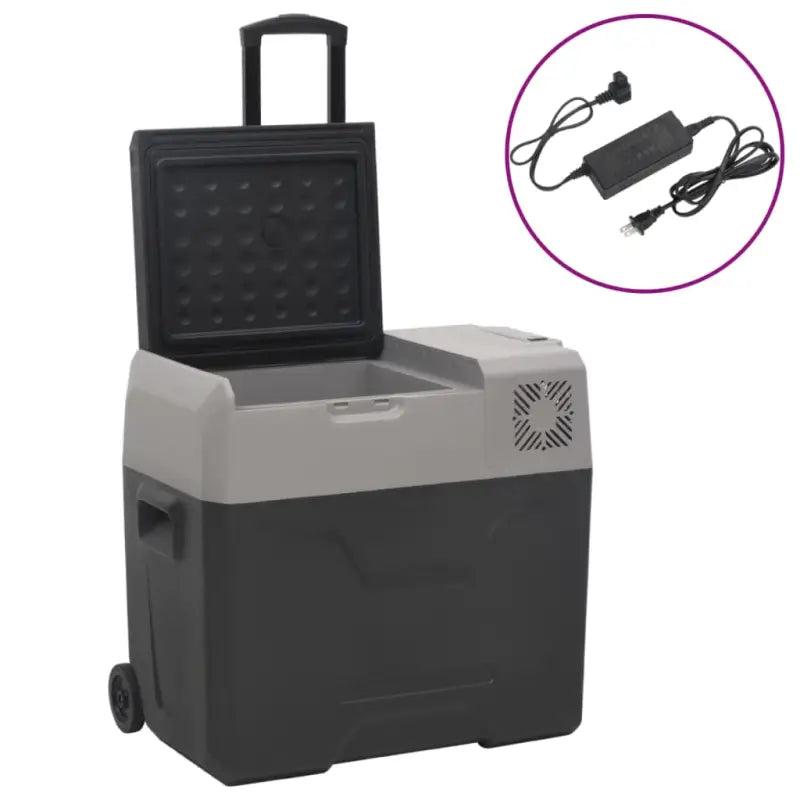 Draagbare koelbox voor verse voeding en koude dranken - 50 l / met adapter - Koelers