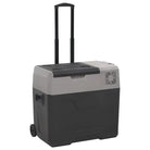 Draagbare koelbox voor verse voeding en koude dranken - 50 l / zonder adapter - Koelers