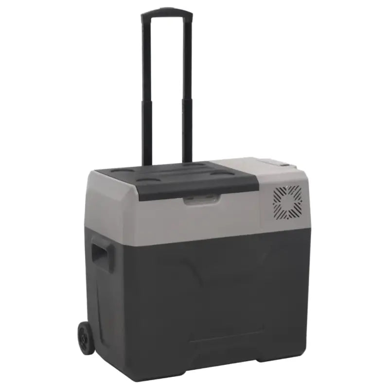 Draagbare koelbox voor verse voeding en koude dranken - 50 l / zonder adapter - Koelers