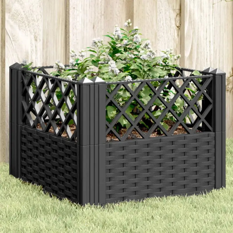 Duurzame bloempotten en plantenbakken voor je tuin of keukenruimte - Zwart / 43,5 x 43,5 x 43,5 cm / 1 - Bloempotten &