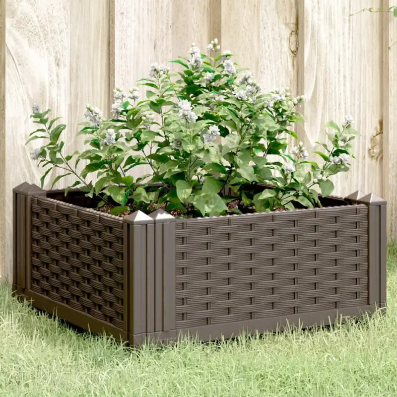 Duurzame bloempotten en plantenbakken voor je tuin of keukenruimte - Bruin / 42,5 x 42,5 x 28,5 cm / 1 - Bloempotten &
