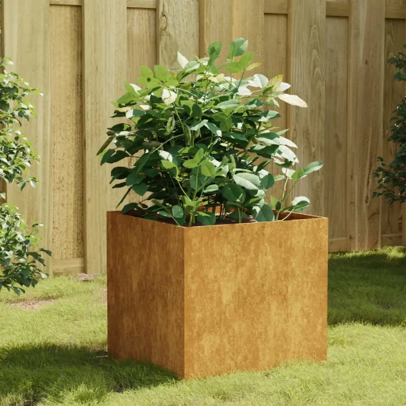 Duurzame cortenstaal plantenbakken met open bodem voor tuin en balkon - 40 x 41 x 40 cm / 1 - Bloempotten &