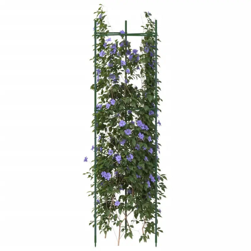 Duurzame verstelbare Tomatenkooi voor ondersteuning van planten - 116 cm / 6 / zonder zak - Plantenstandaarden