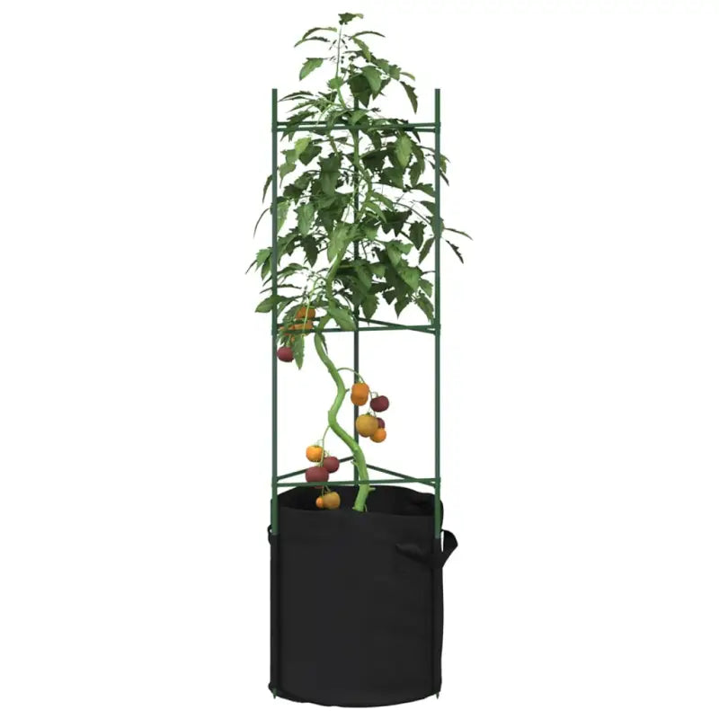 Duurzame verstelbare Tomatenkooi voor ondersteuning van planten - 116 cm / 6 / met zak - Plantenstandaarden
