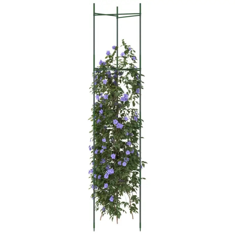 Duurzame verstelbare Tomatenkooi voor ondersteuning van planten - 154 cm / 2 / zonder zak - Plantenstandaarden