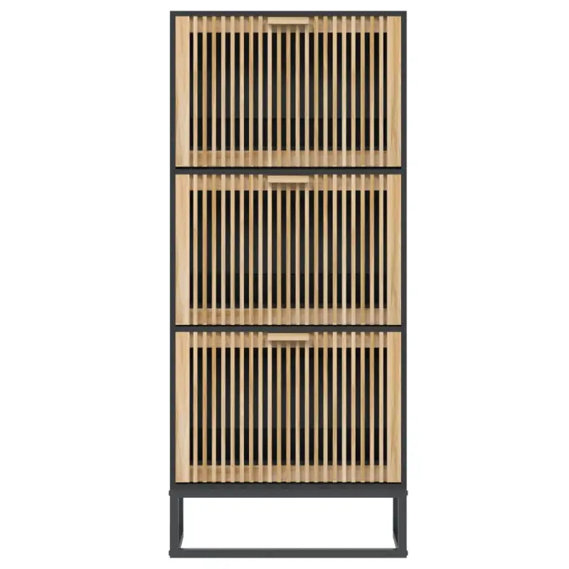 Elegante schoenenkast met ijzeren poot en bewerkt hout voor overzicht - Zwart / 1 - Schoenenrekken