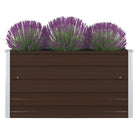 Gegalvaniseerd Staal Verhoogd Tuinbed voor Planten en Groenten - Bruin / 1 - Bloempotten & plantenbakken