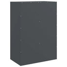 Hoge kast met koudgewalst staal voor een moderne uitstraling - Dressoirs & buffetkasten