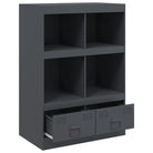 Hoge kast met koudgewalst staal voor een moderne uitstraling - Dressoirs & buffetkasten