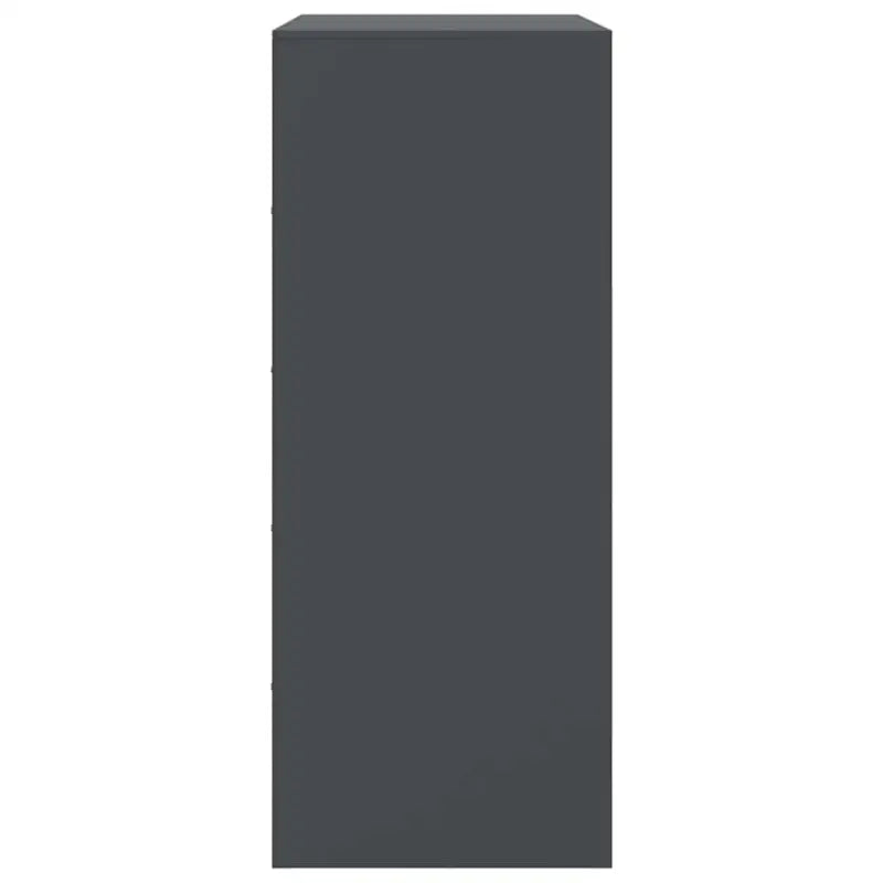 Hoge kast met koudgewalst staal voor een moderne uitstraling - Dressoirs & buffetkasten