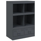 Hoge kast met koudgewalst staal voor een moderne uitstraling - Dressoirs & buffetkasten