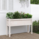 Houten bloempotten en plantenbakken van massief douglashout - Wit grenenhout / 1 - Bloempotten & plantenbakken