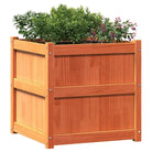 Houten bloempotten en plantenbakken van massief grenenhout - Bloempotten & plantenbakken