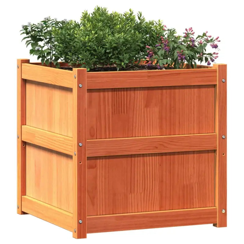 Houten bloempotten en plantenbakken van massief grenenhout - Bloempotten & plantenbakken