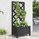 Houten plantenbak met klimrek van massief vurenhout voor buiten - Zwart / 40 x 30 x 90 cm / 1 - Bloempotten &