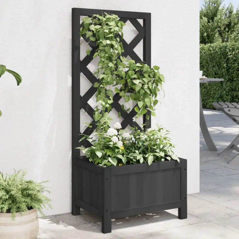 Houten plantenbak met klimrek van massief vurenhout voor buiten - Zwart / 40 x 30 x 90 cm / 1 - Bloempotten &