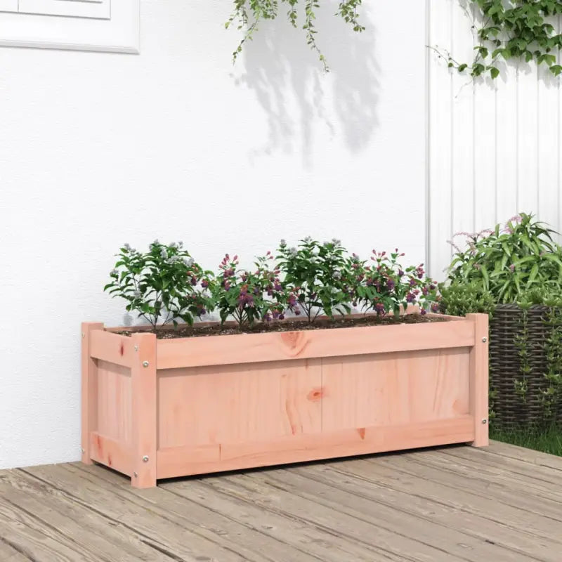 Houten plantenbak van geïmpregneerd grenenhout voor tuin en balkon - Natuurlijk douglashout / 1 - Bloempotten &