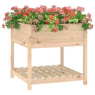 Houten plantenbak van massief grenenhout voor binnen en buiten - Bloempotten & plantenbakken