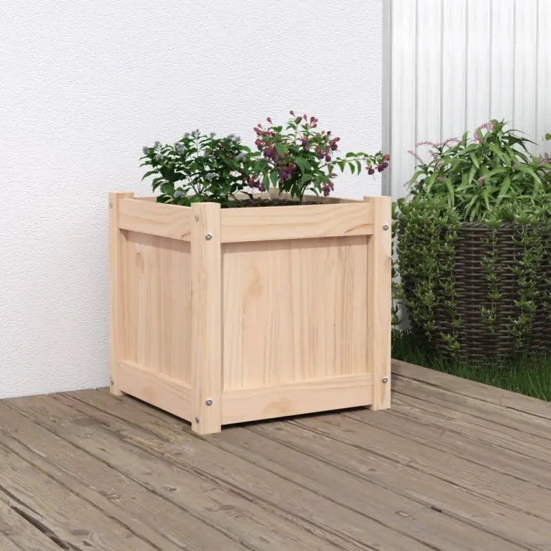 Houten plantenbak van massief grenenhout voor tuin en balkon - Natuurlijk grenenhout / 1 - Bloempotten & plantenbakken