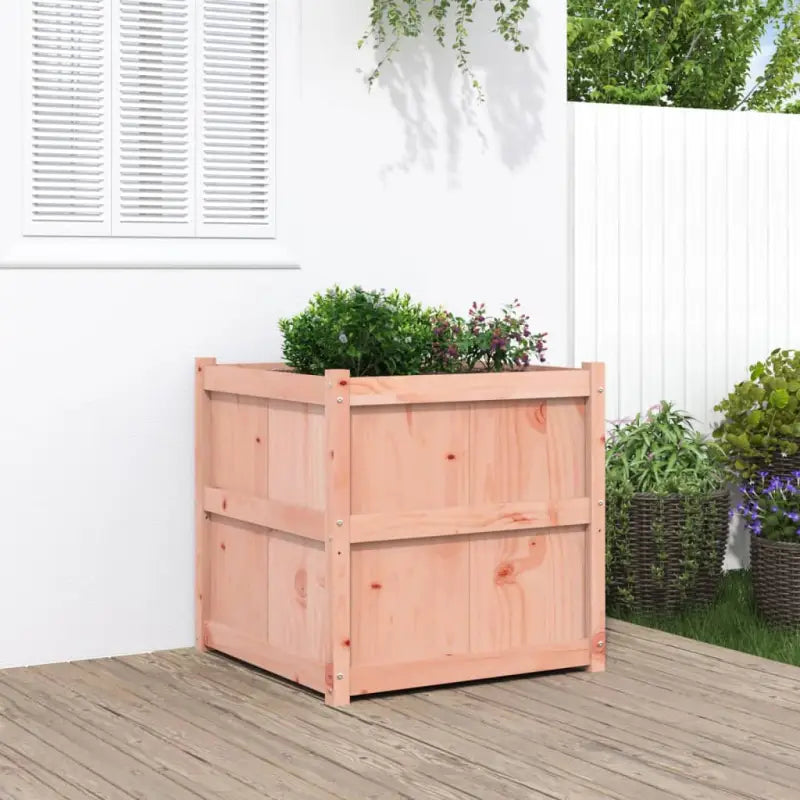 Houten plantenbak van massief grenenhout voor tuin en balkon - Natuurlijk douglashout / 1 - Bloempotten & plantenbakken