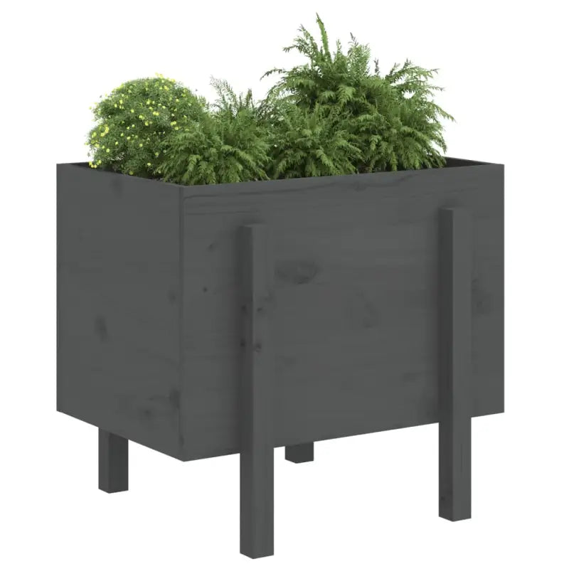 Houten plantenbak van massief grenenhout voor tuin en balkon - Bloempotten & plantenbakken