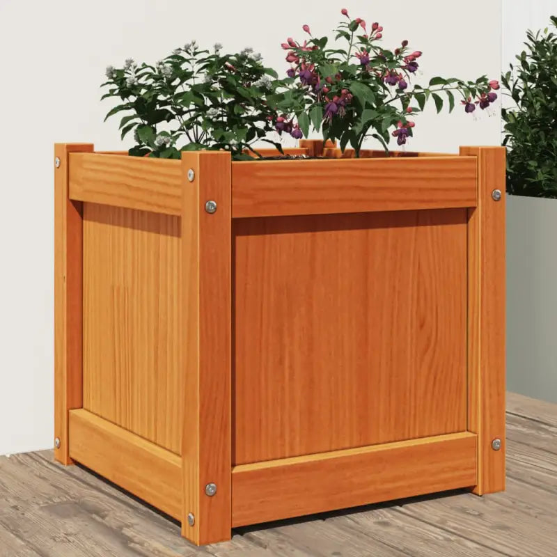 Houten plantenbak van massief grenenhout voor tuin en balkon - Bloempotten & plantenbakken