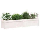 Houten plantenbak van massief grenenhout voor tuin en balkon decoratie - Bloempotten & plantenbakken