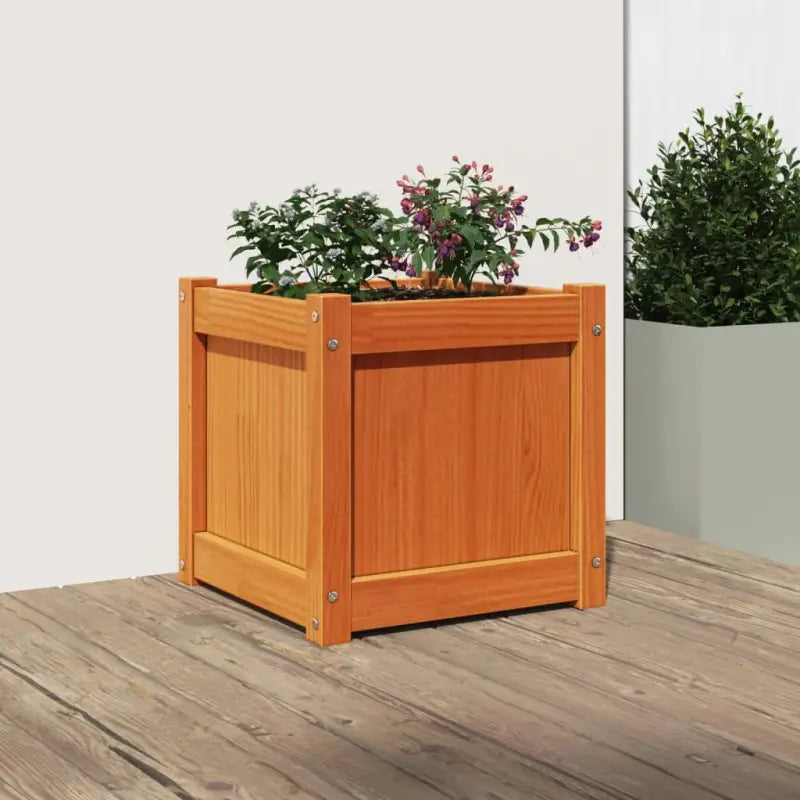 Houten plantenbak van massief grenenhout voor tuin en balkon - Bloempotten & plantenbakken
