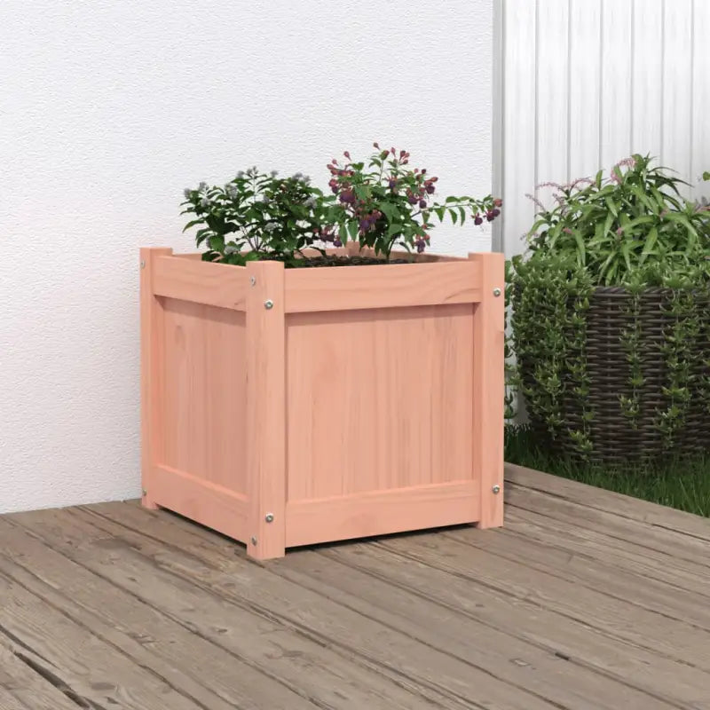 Houten plantenbak van massief grenenhout voor tuin en balkon - Natuurlijk douglashout / 1 - Bloempotten & plantenbakken