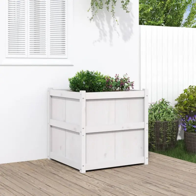 Houten plantenbak van massief grenenhout voor tuin en balkon - Wit / 1 - Bloempotten & plantenbakken