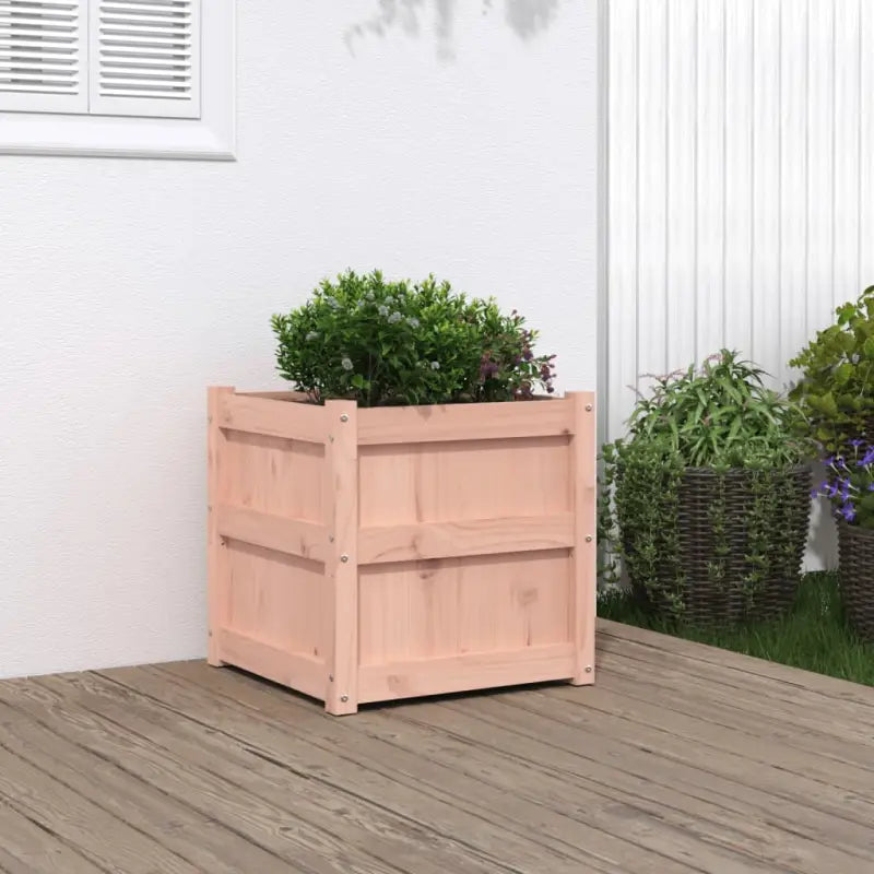 Houten plantenbakken van massief grenenhout voor tuin en balkon decoratie - Natuurlijk douglashout / 1 - Bloempotten &