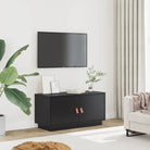 Houten Tv-meubel van massief grenenhout voor een moderne woonkamer - Zwart / 1 - Tv-meubels