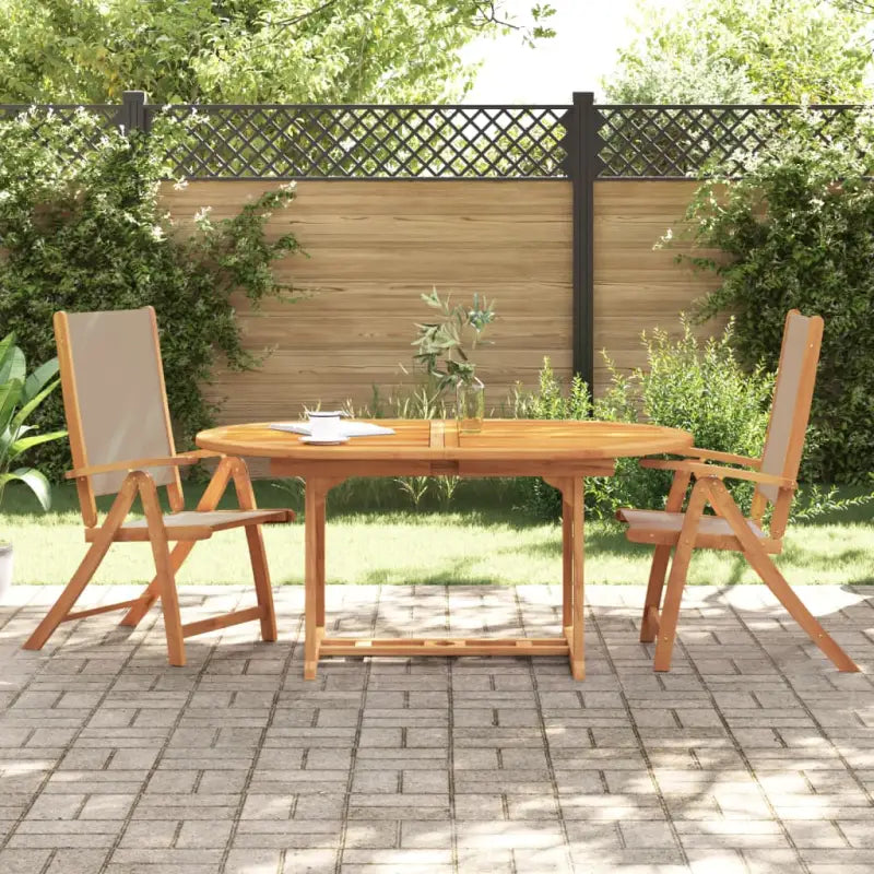 Inklapbare tuinstoelen van massief acaciahout de ideale keuze voor elke tuin - Taupe / 2 - Tuinstoelen